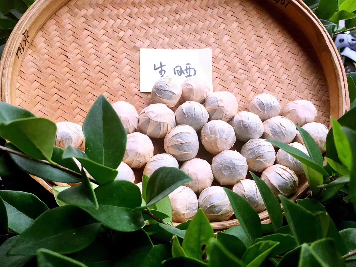 夏日清凉之选：揭秘绿茶如何成为最佳解暑饮品(图1)