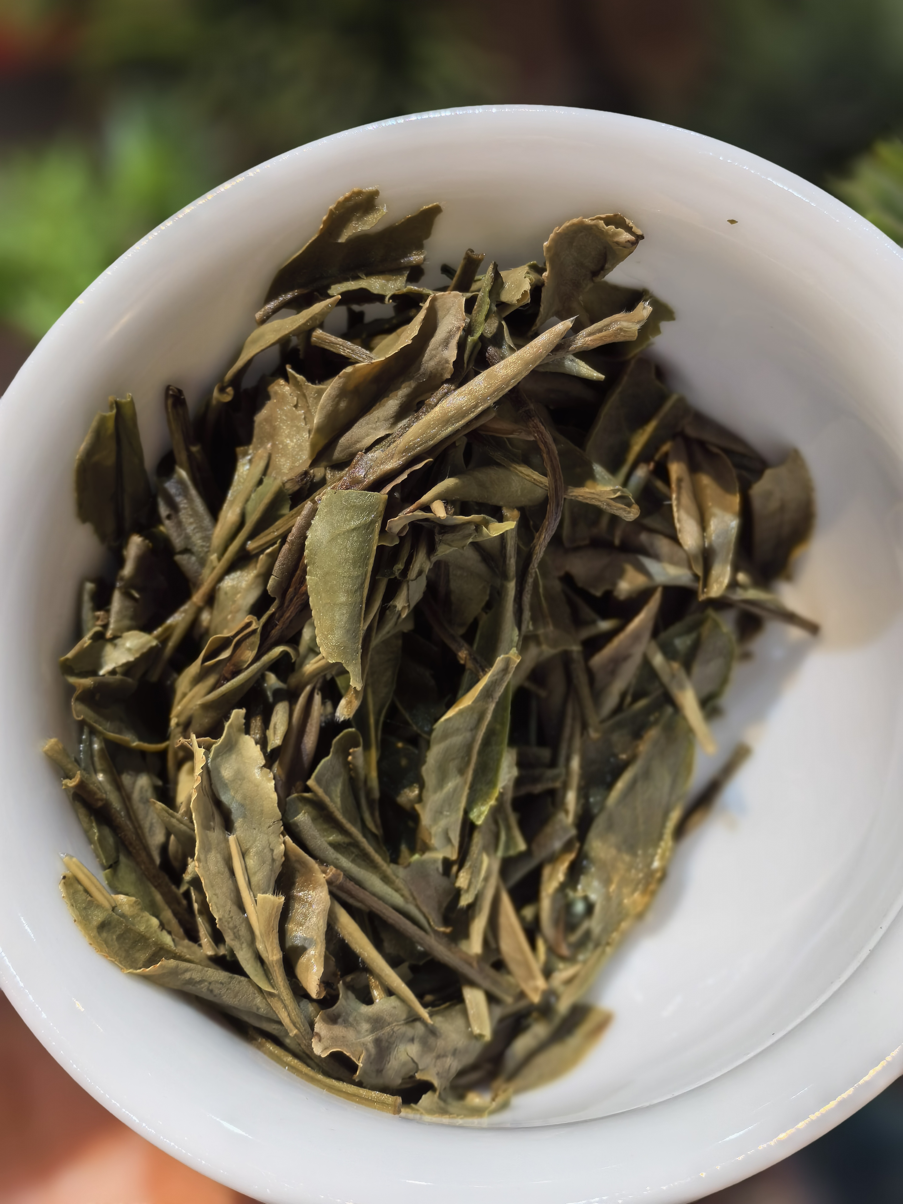 探索小产品茶叶的独特魅力：从产地到品鉴的全方位指南(图1)