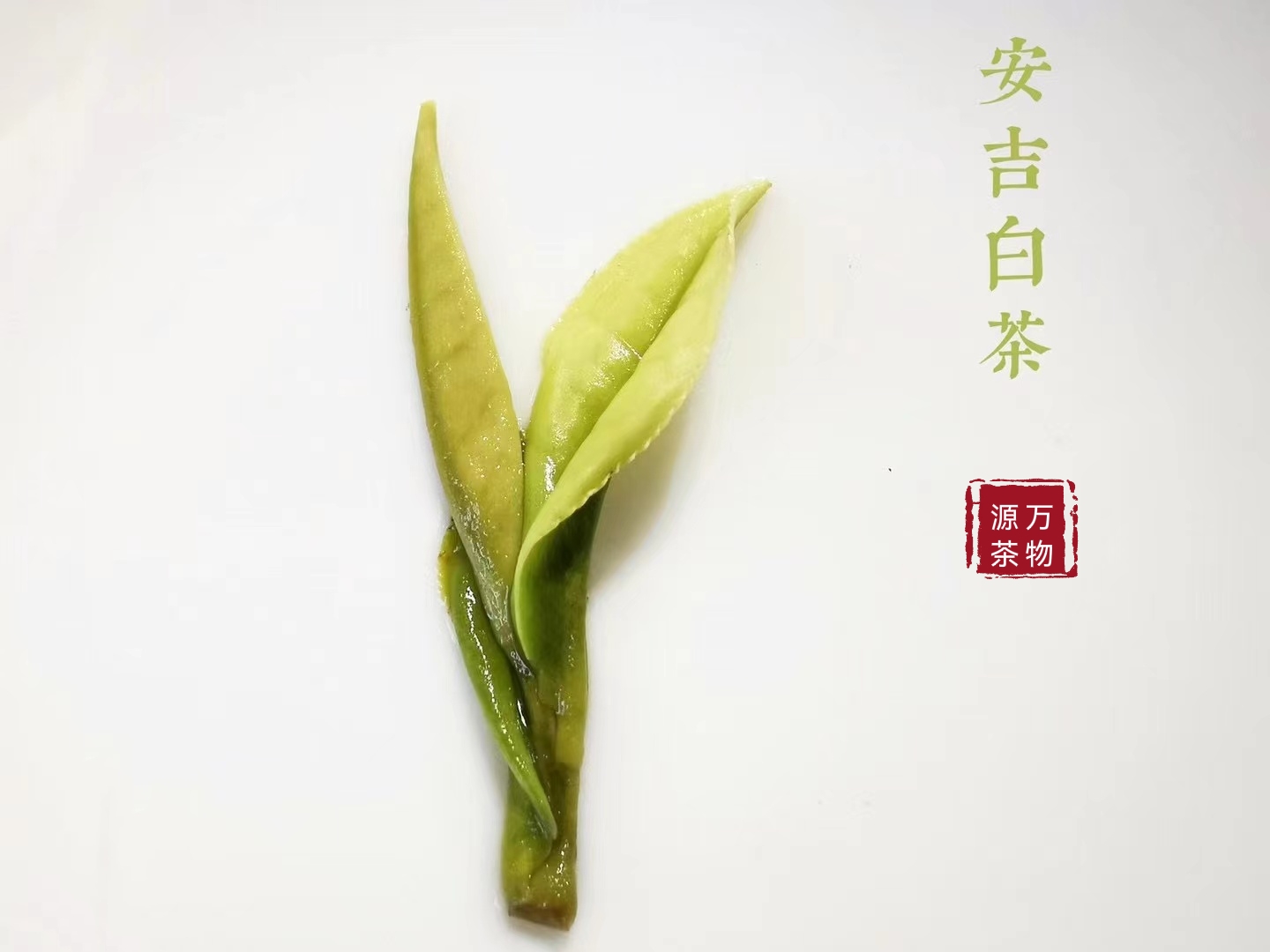 天弘熟茶：揭秘其独特的发酵工艺与品鉴技巧(图1)