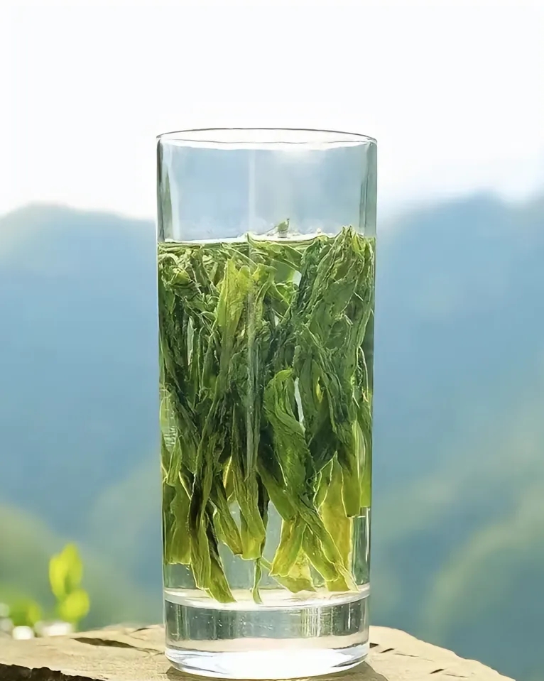 台湾富郁茶叶：探索高山乌龙茶的独特风味与制作工艺(图1)