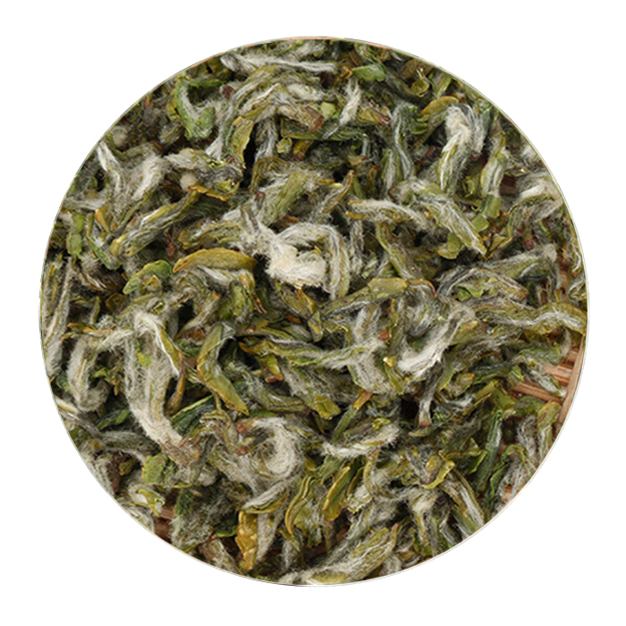 普陀佛茶（普陀山云雾茶、凤尾茶）