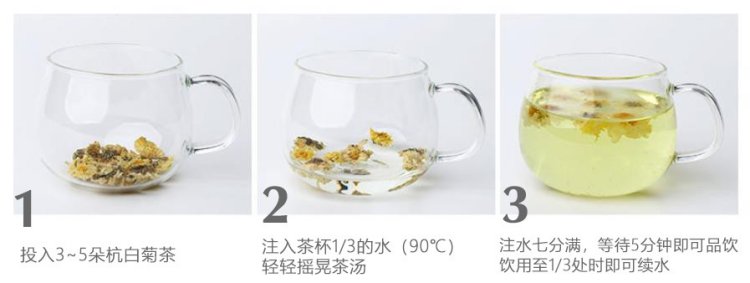 杭白菊(图1)