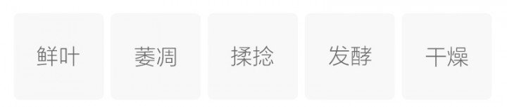 英红九号(图2)