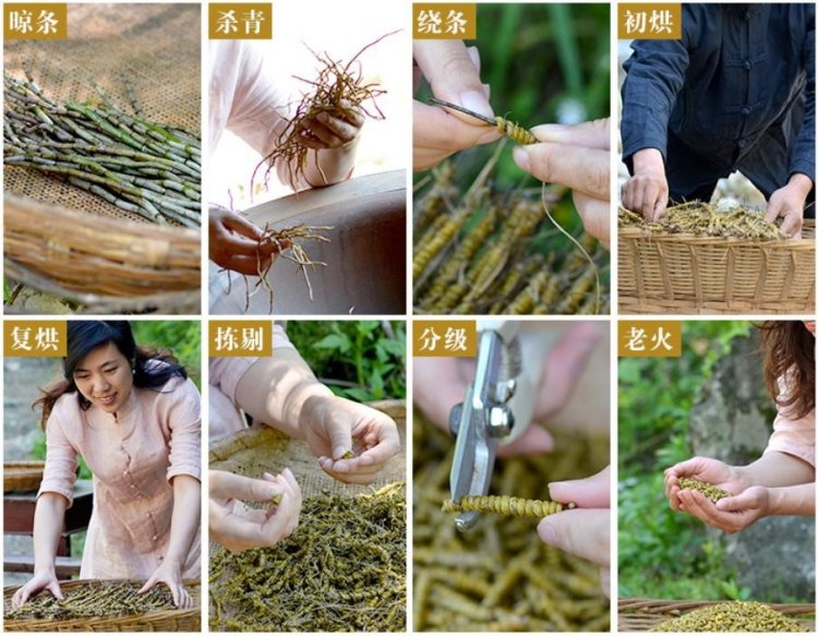 铁皮石斛茶(图2)