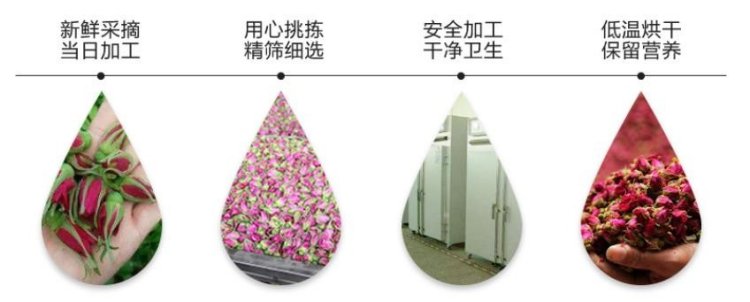 平阴玫瑰茶(图2)