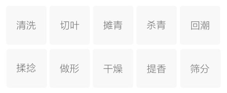 桑叶茶(图2)