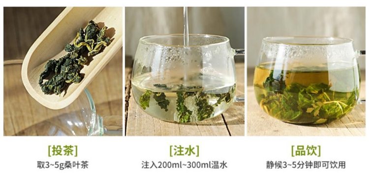 桑叶茶(图1)