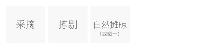 紫芽苞茶(图2)