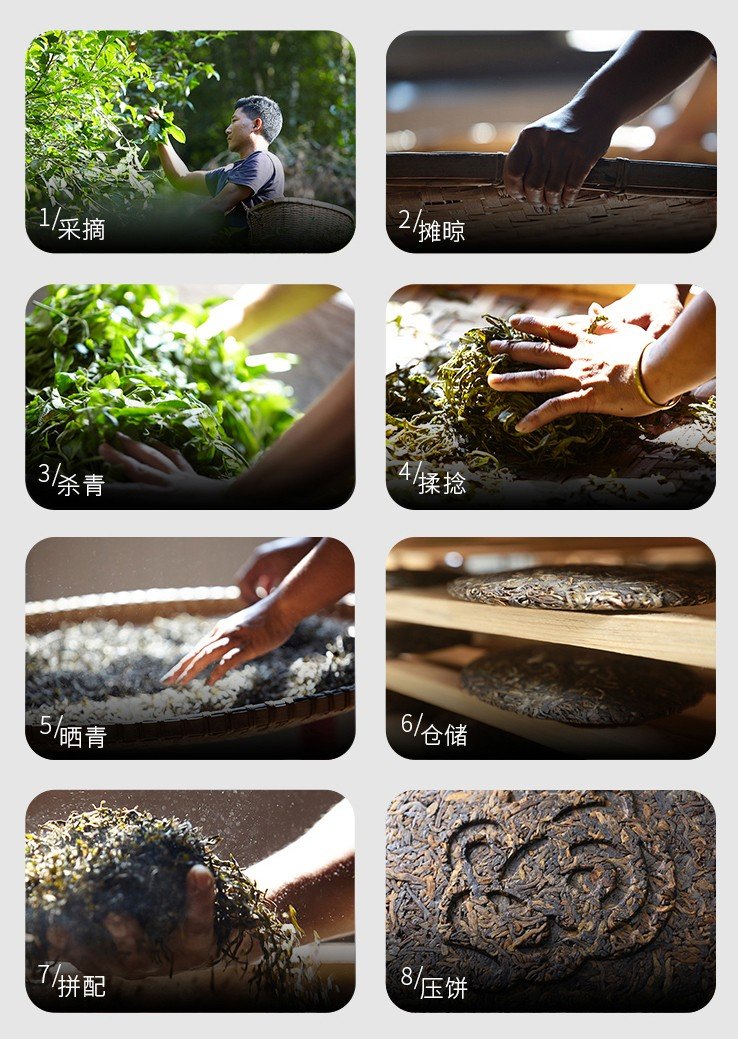黄金叶（黄片普洱茶）(图2)