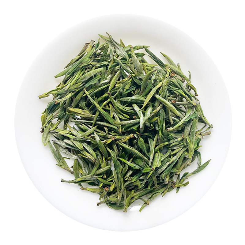 江山绿牡丹