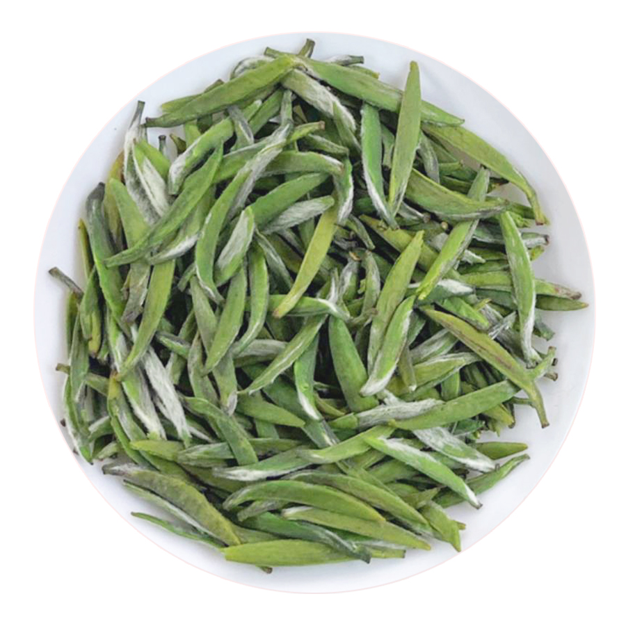 午子仙毫