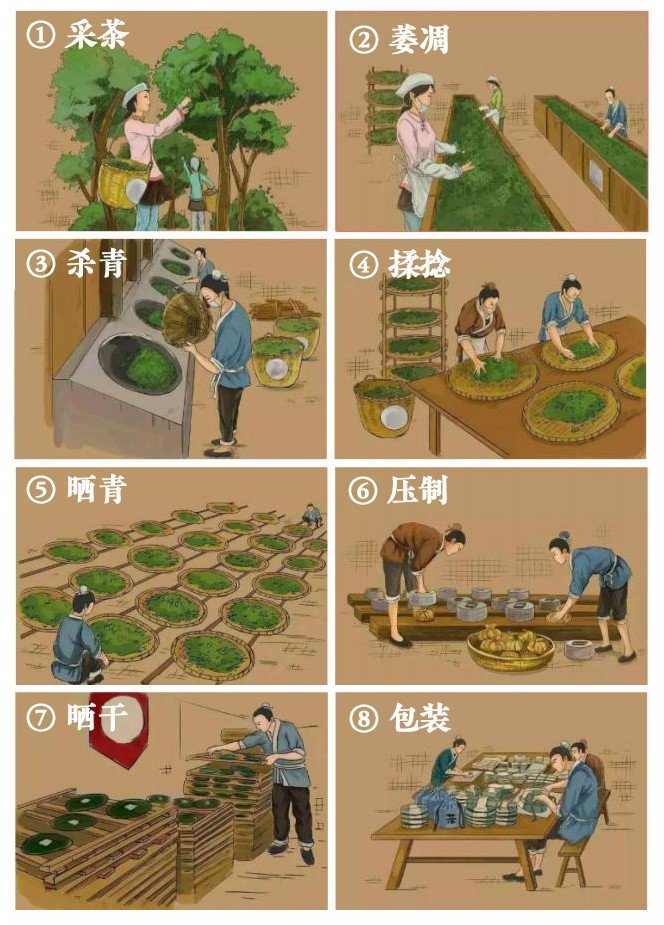 坝卡囡[nān]普洱茶(图2)